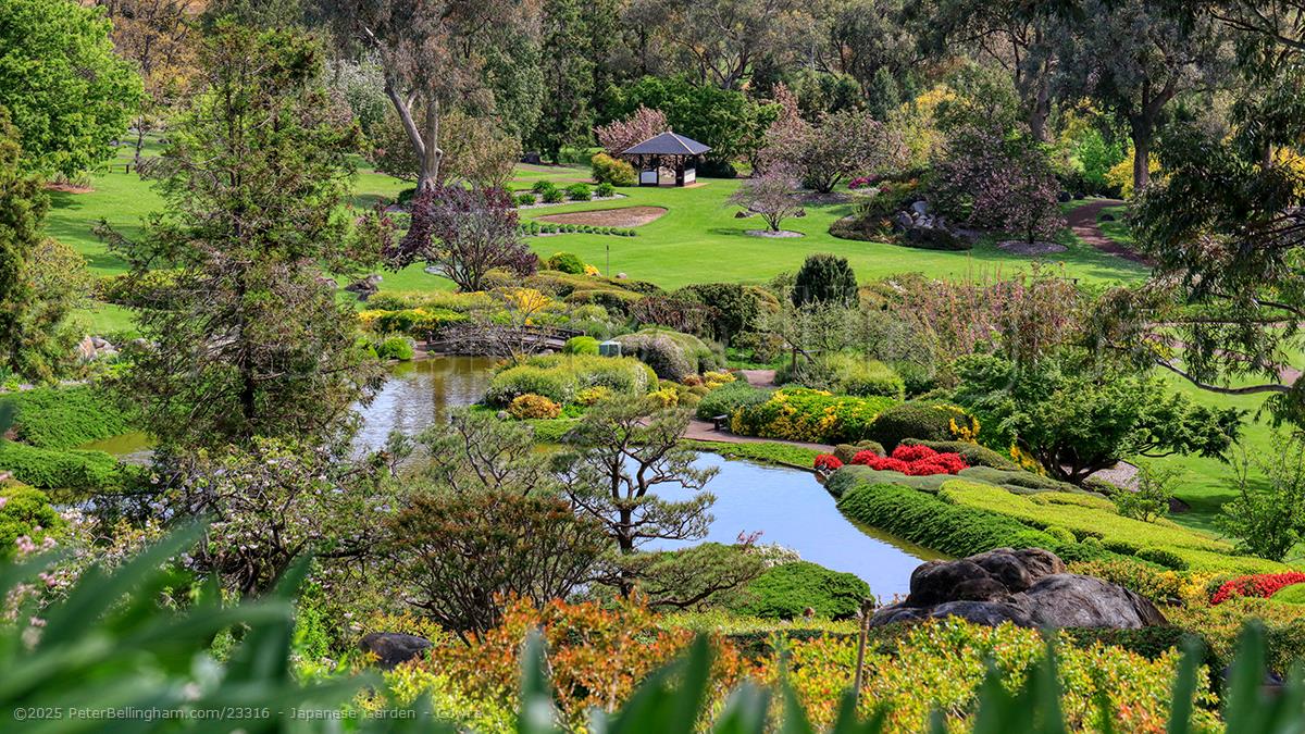 Peter Bellingham Photography Japanese Garden - Cowra